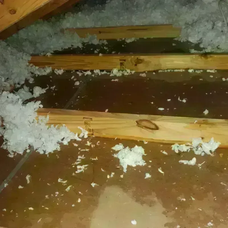 Attic Water Damage in Wilson County, TN