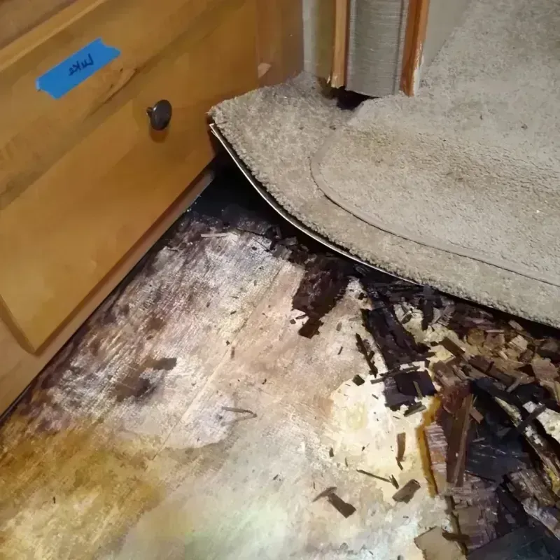 Best Wood Floor Water Damage Service in Wilson County, TN